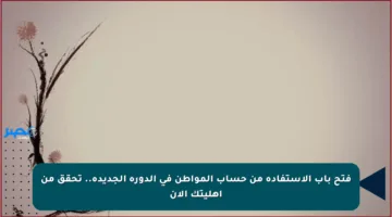 فتح باب الاستفادة من حساب المواطن في الدورة الجديدة.. تحقق من أهليتك الآن